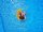 SunClub&reg; Luftmatratze / Schwimminsel aufblasbar Muschel gold, 108x70 cm